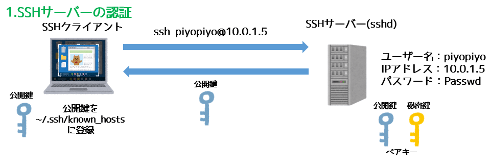 SSHサーバーの暗号化